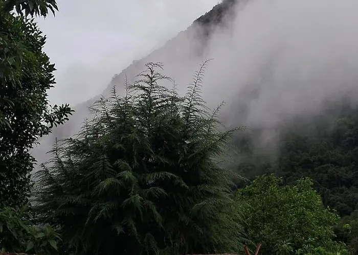 Ecosereno Salkantay Huts Chaullay Santa Teresa (Cusco)